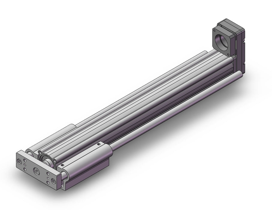 LEYG25MNXA-300 Guide Rod Type Electric Actuator
