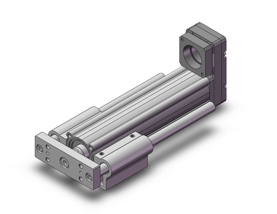 LEYG25MNXB-100 Guide Rod Type Electric Actuator
