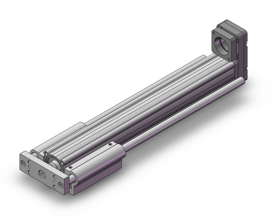 LEYG25MNZB-250 Guide Rod Type Electric Actuator