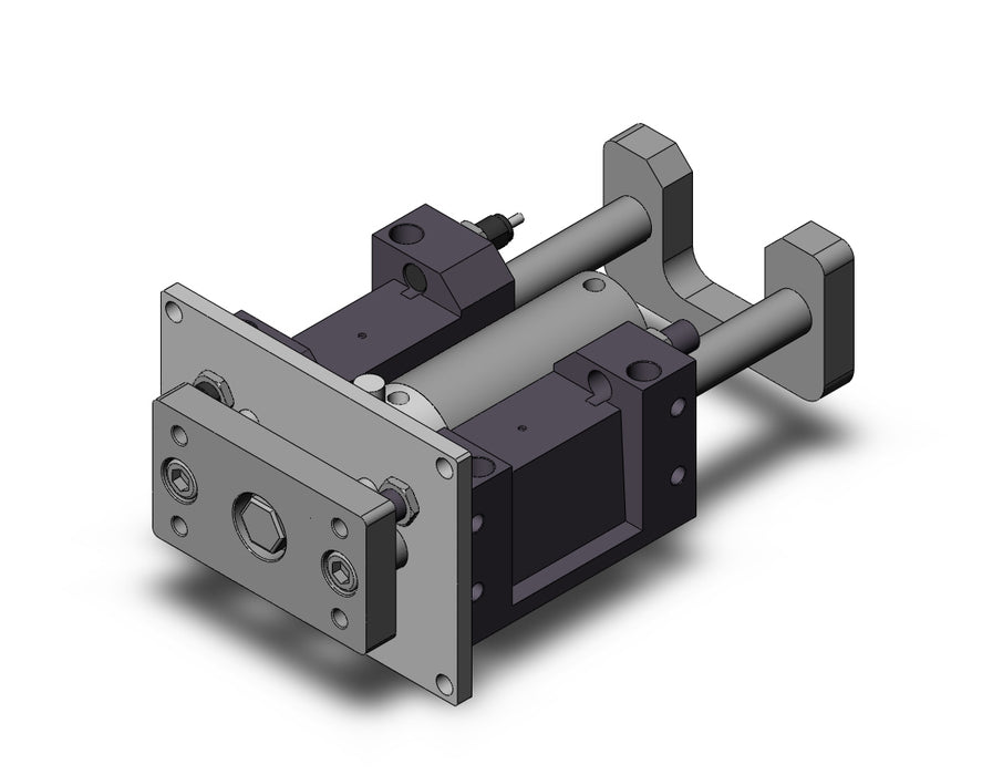 MGGMF63TF-100-RL MGG, Guide Cylinder