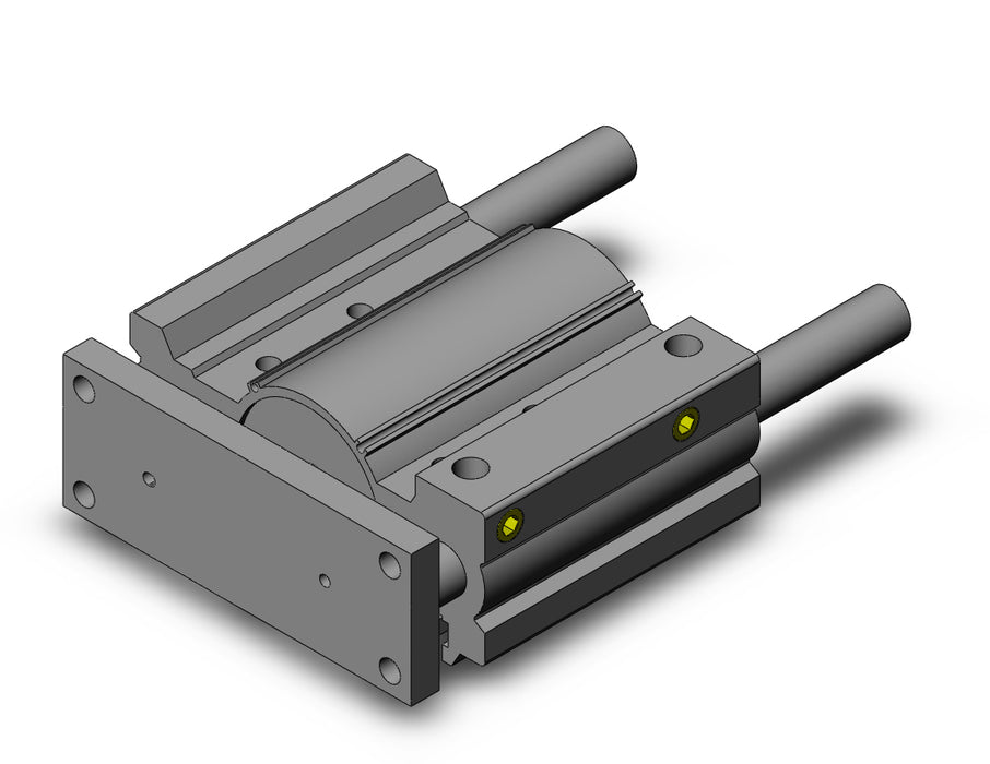 MGPA80TF-100Z MGP-Z Cylinder