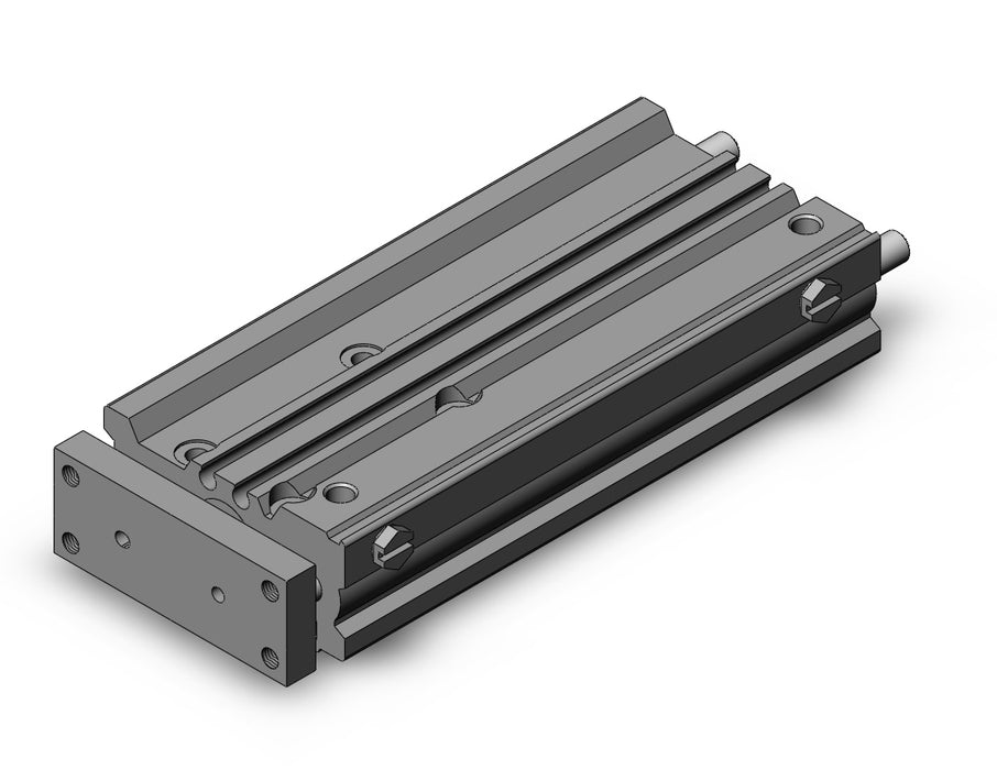 MGPL12-100Z MGP-Z Cylinder