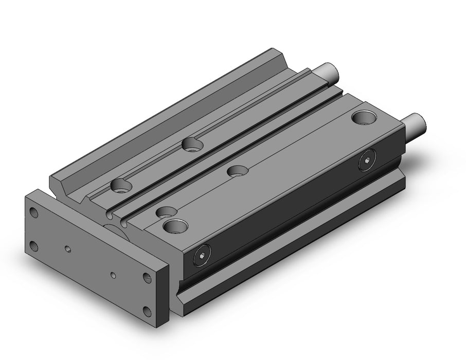 MGPL20-100Z MGP-Z Cylinder