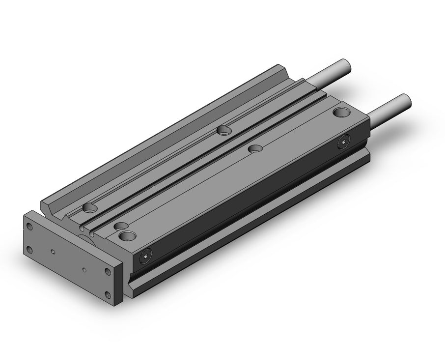 MGPL20-175Z MGP-Z Cylinder
