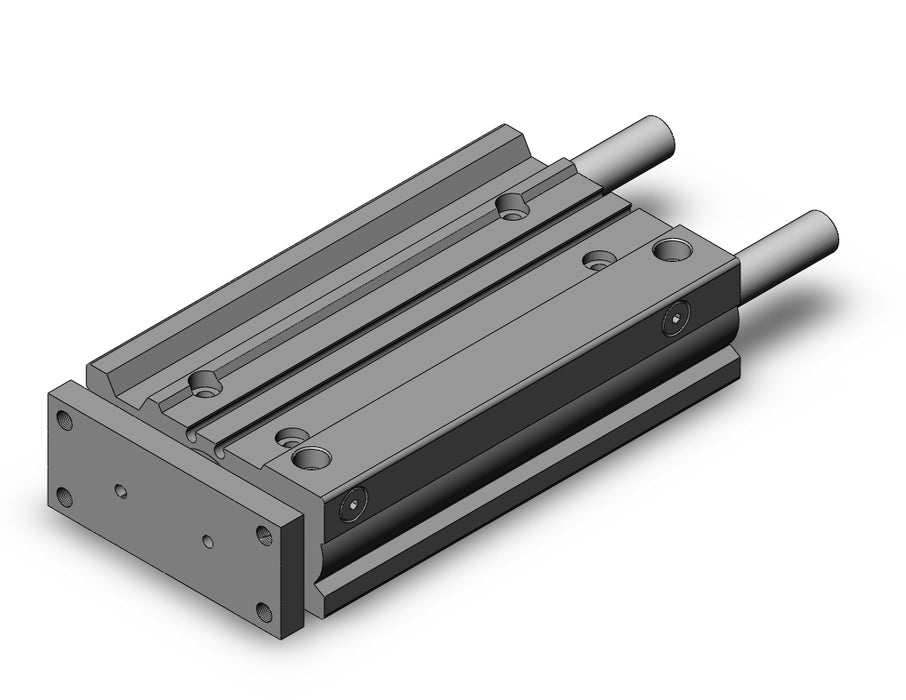 MGPL25-125Z MGP-Z Cylinder
