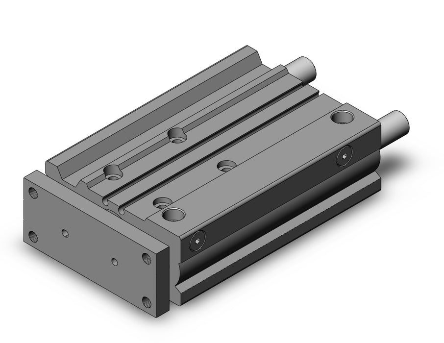 MGPL25TN-100Z MGP-Z Cylinder