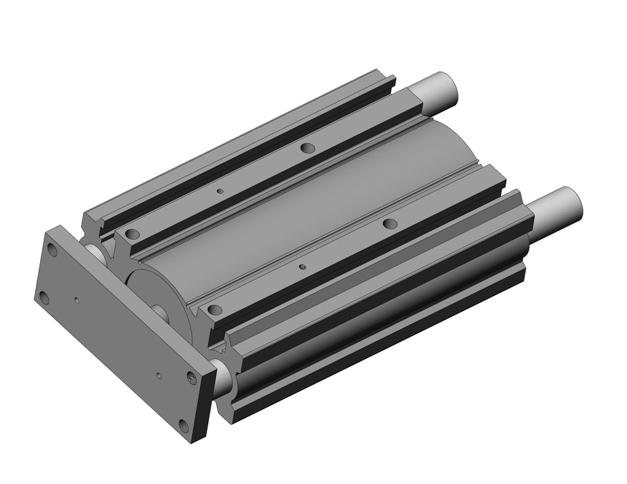 MGPM100-300Z MGP-Z Cylinder