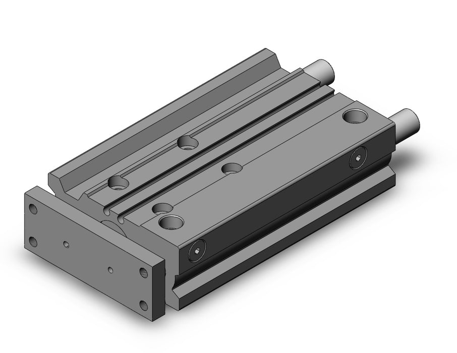 MGPM20TN-100Z MGP-Z Cylinder