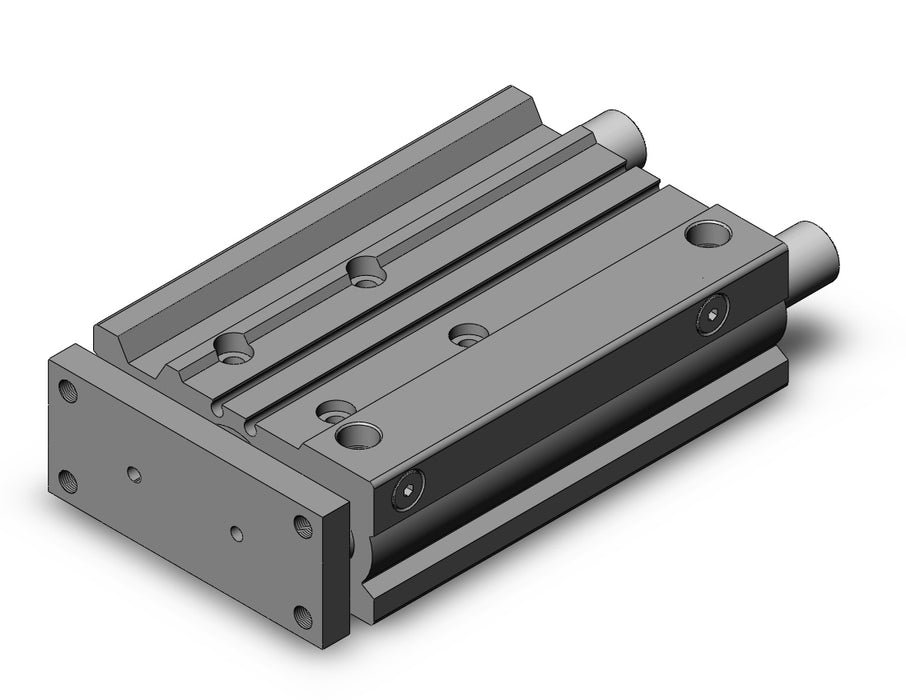 MGPM25TF-100Z MGP-Z Cylinder