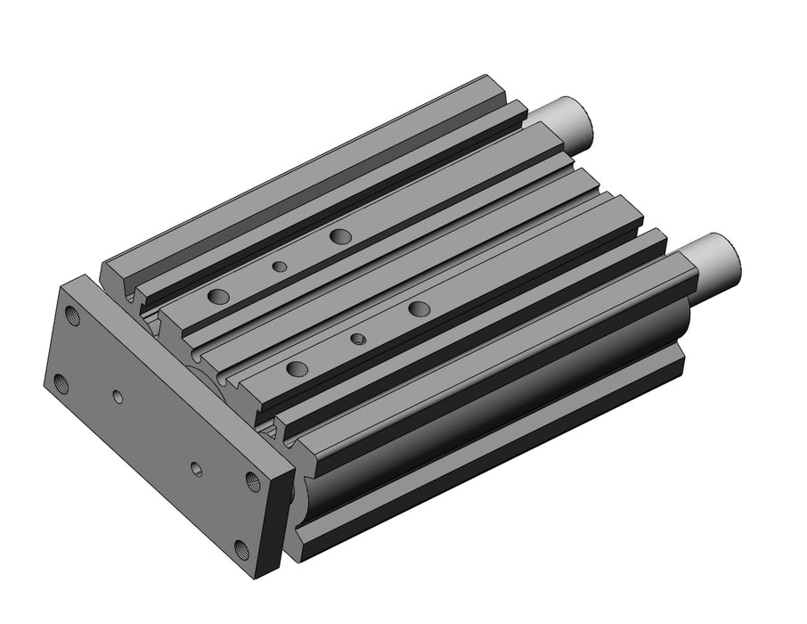 MGPM25TN-100Z-A93L MGP-Z CYLINDER