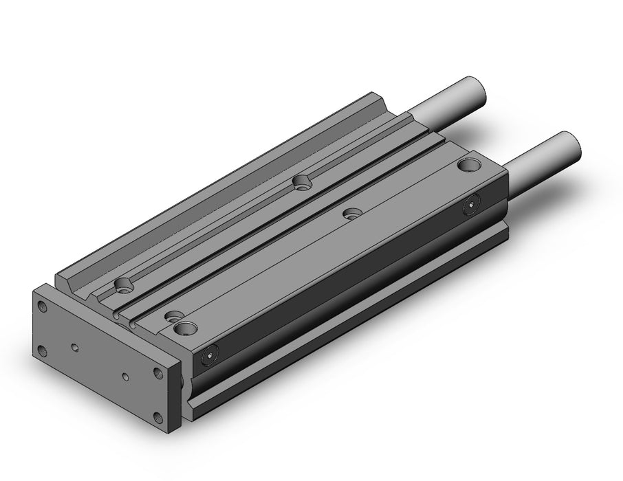 MGPM25TN-175Z MGP-Z Cylinder