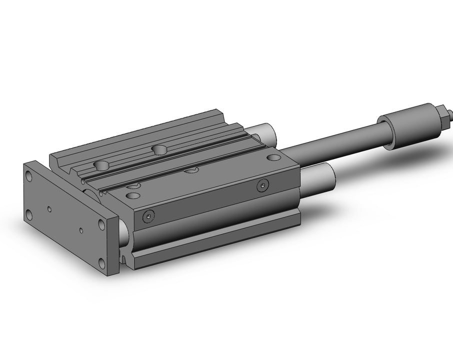 MGPM32-100BZ-XC8 MGP-Z Cylinder
