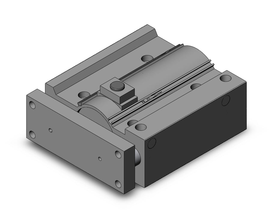 MGPM80N-100-RN-M9BWSDPC CYL, END LOCK GUIDE, SLIDE BRG