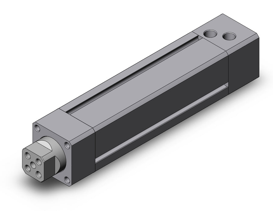 MGZ25TN-100 Non-Rotating Double Power Cylinder