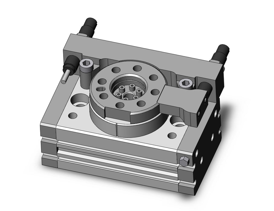 MSQA10H2-M9PZ Rotary Table