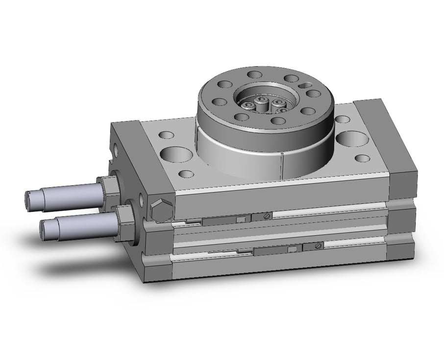 MSQA10R-M9BAL Rotary Table