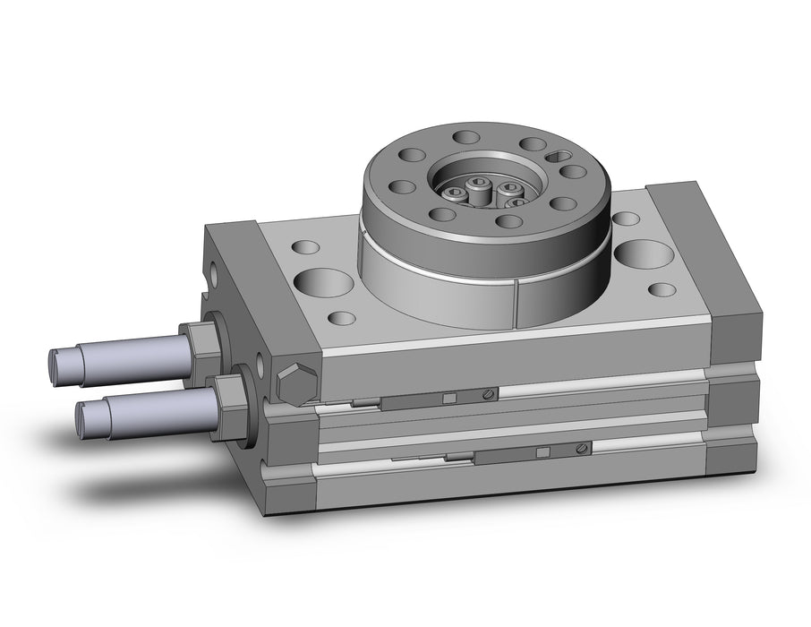 MSQA10R-M9BL Rotary Table