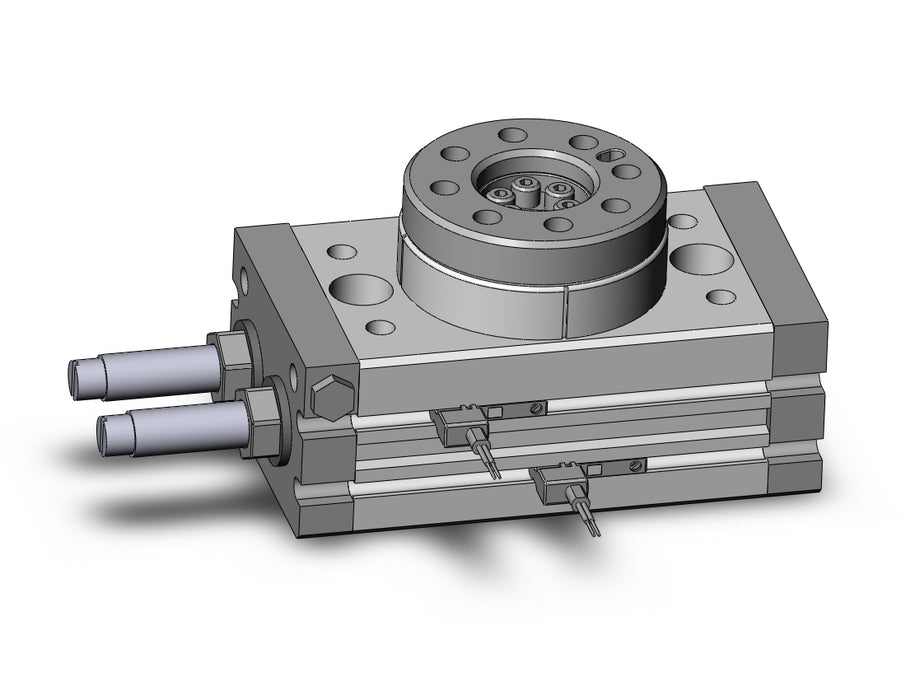MSQA10R-M9BVL Rotary Table