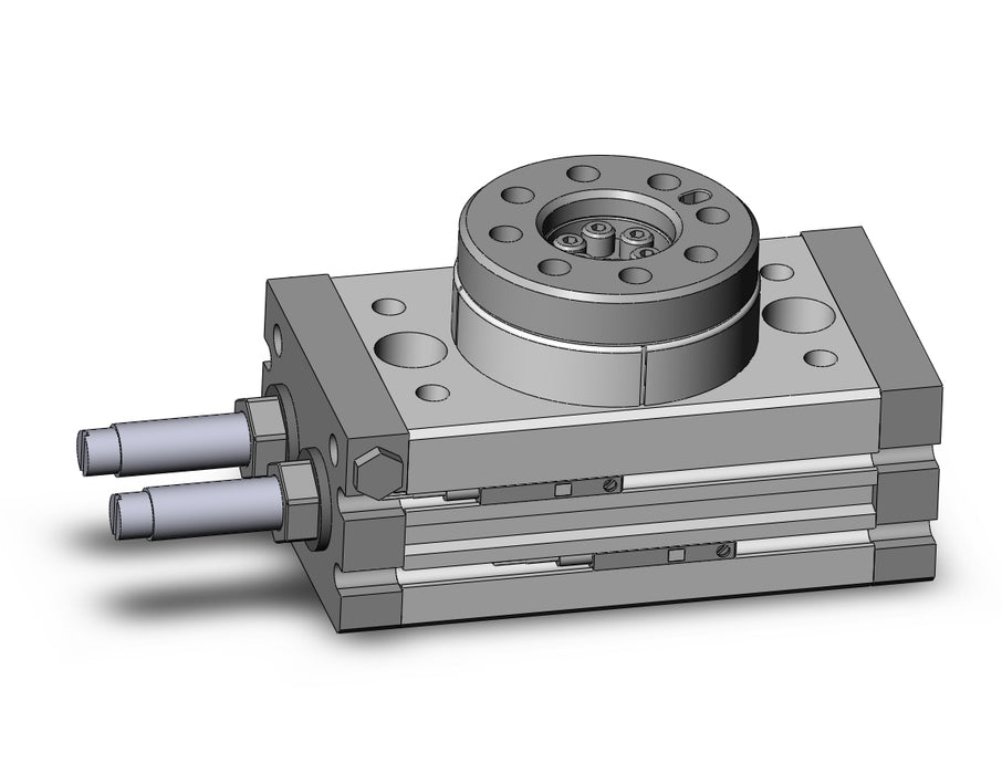 MSQA10R-M9B Rotary Table