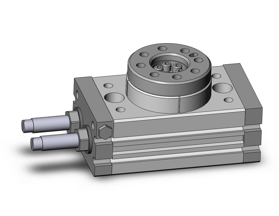 MSQA10R Rotary Table