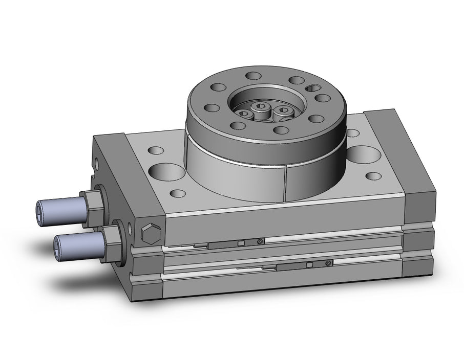 MSQA20A-M9BZ Rotary Table
