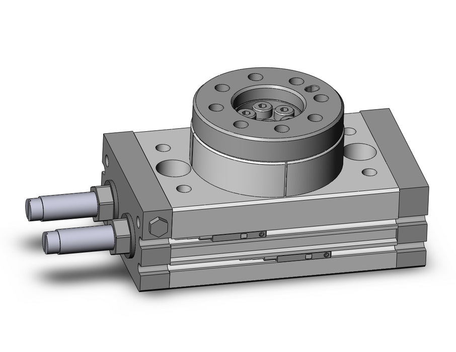 MSQA20R-M9BW Rotary Table
