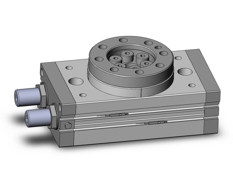 MSQB100A-A93L-XN Rotary Table