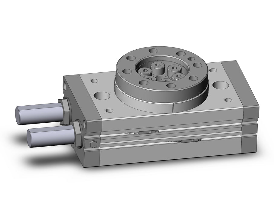 MSQB100R-A93-XF Rotary Table