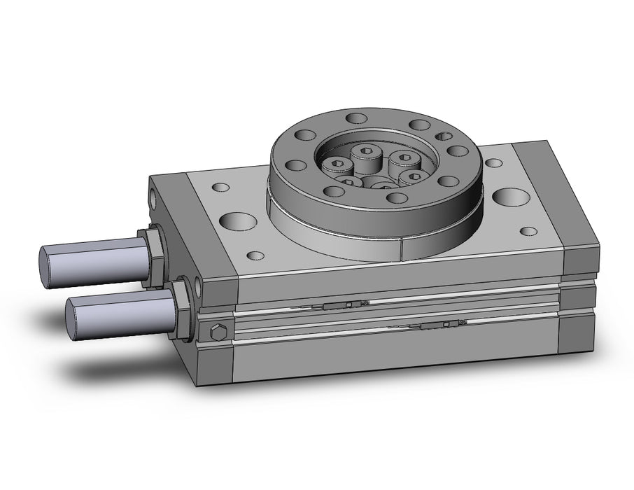 MSQB100R-A93-XN Rotary Table