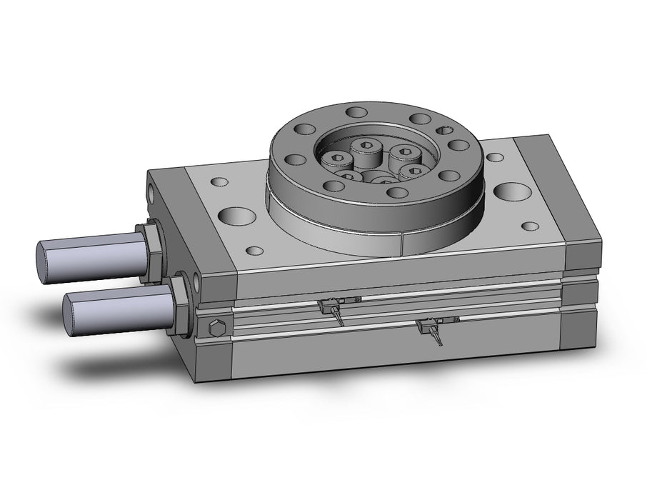 MSQB100R-M9BVL Rotary Table