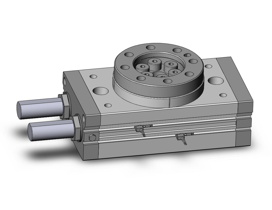 MSQB100R-M9NVMAPC Rotary Table
