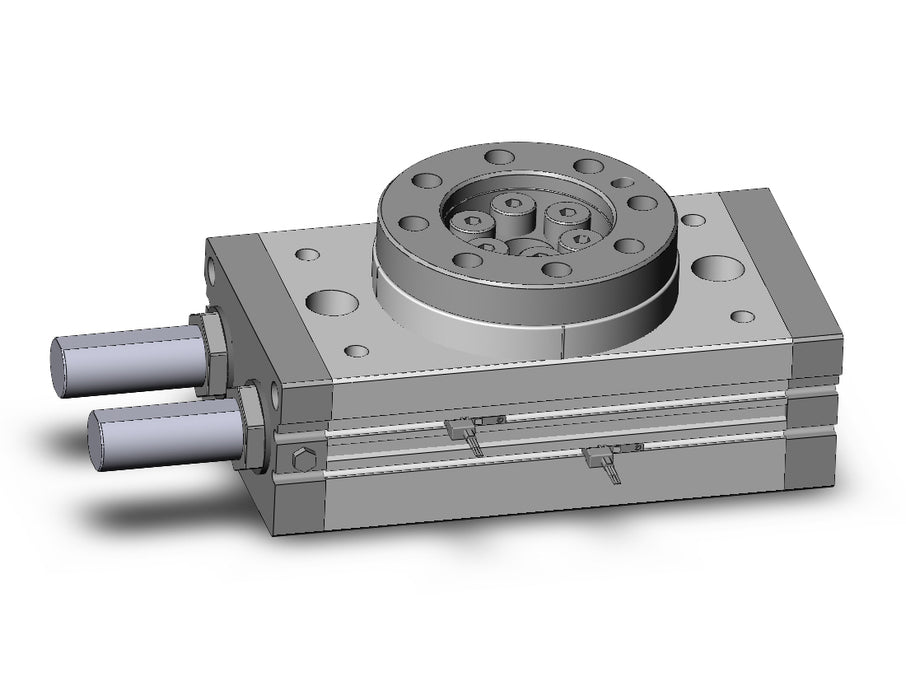 MSQB100R-M9PWV-XF Rotary Table
