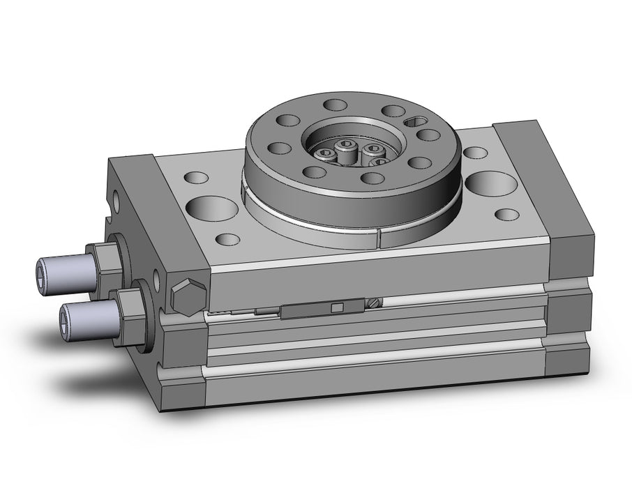 MSQB10A-A93LS Rotary Table