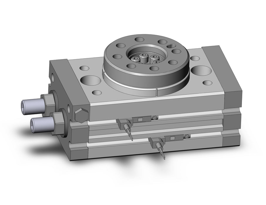 MSQB10A-A96V Rotary Table
