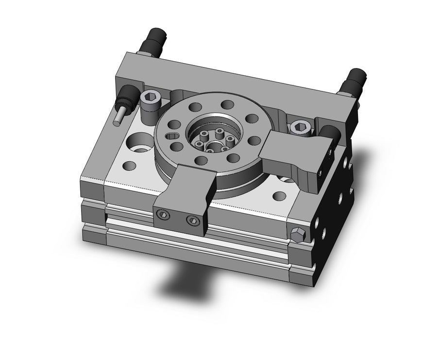 MSQB10L3-M9BL Rotary Table