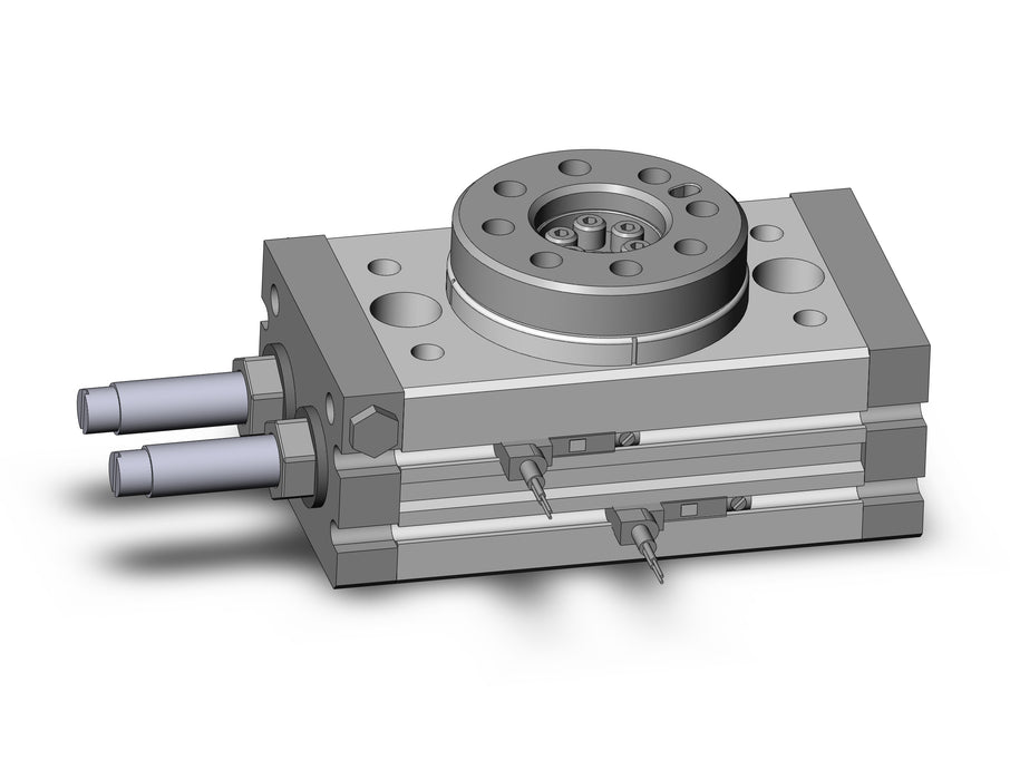 MSQB10R-A90VZ Rotary Table