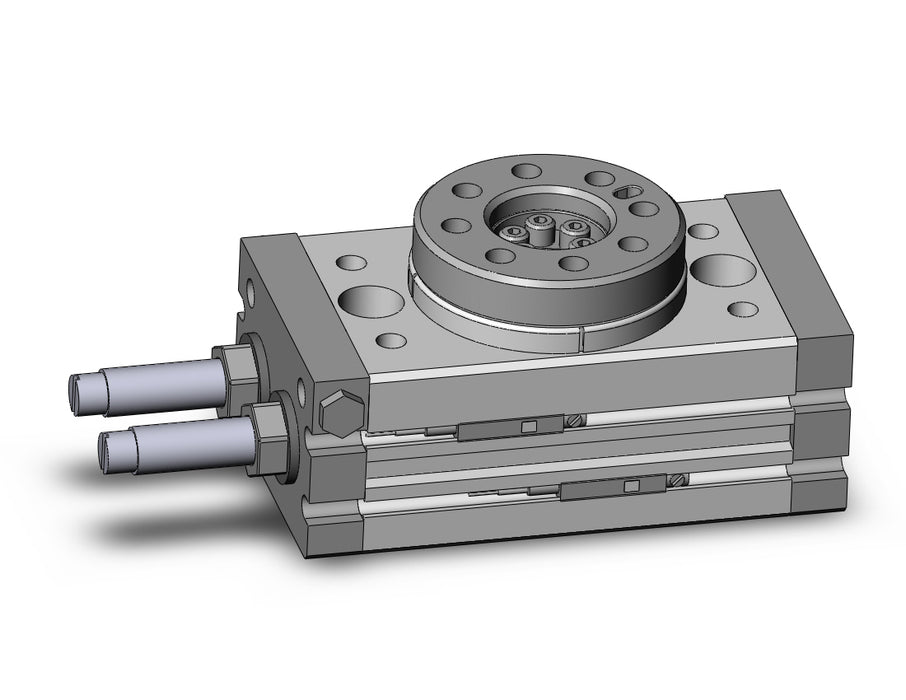 MSQB10R-A93L Rotary Table