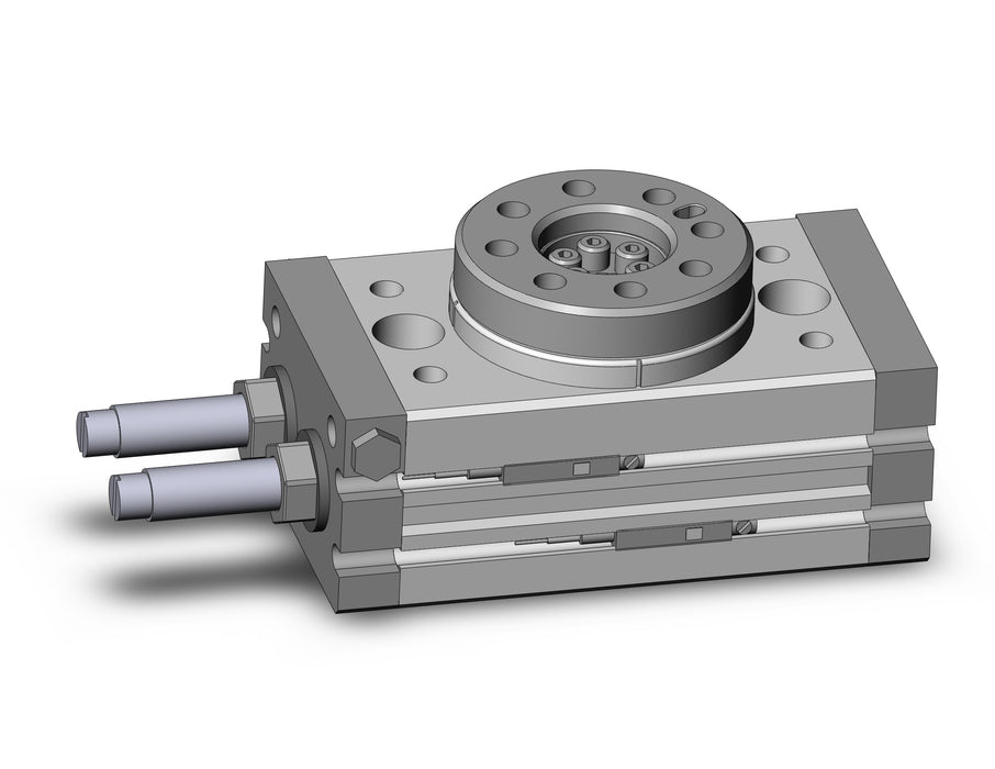 MSQB10R-A96L Rotary Table