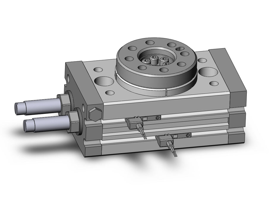 MSQB10R-M9BVL Rotary Table