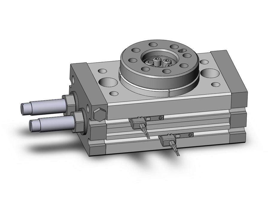 MSQB10R-M9BWVL Rotary Table