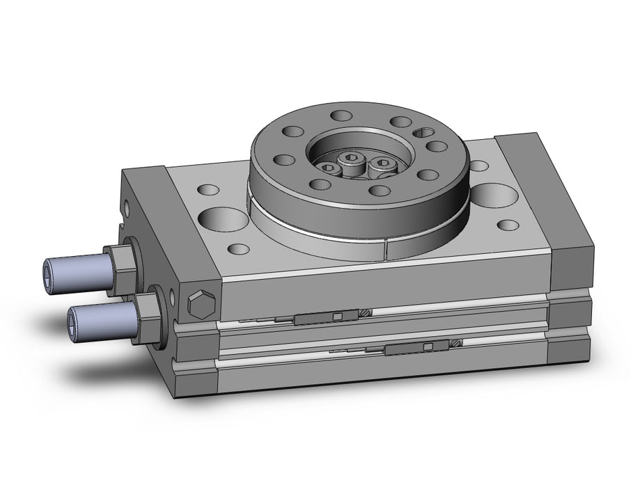 MSQB20A-A93 Rotary Table