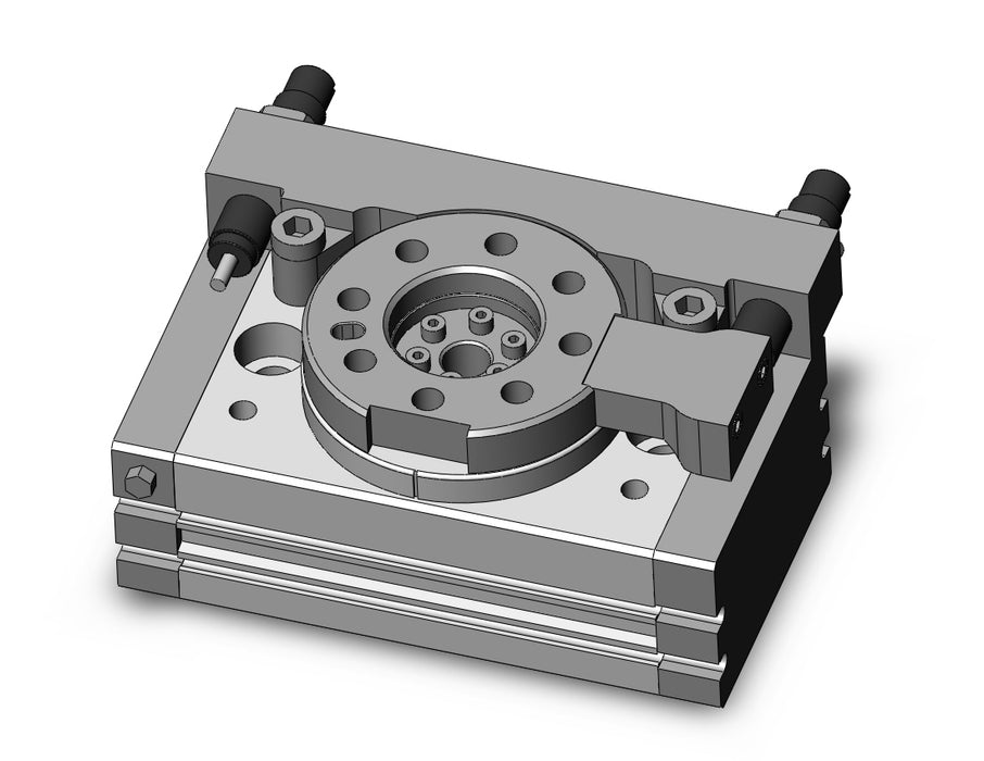 MSQB20H4-A934 Rotary Table