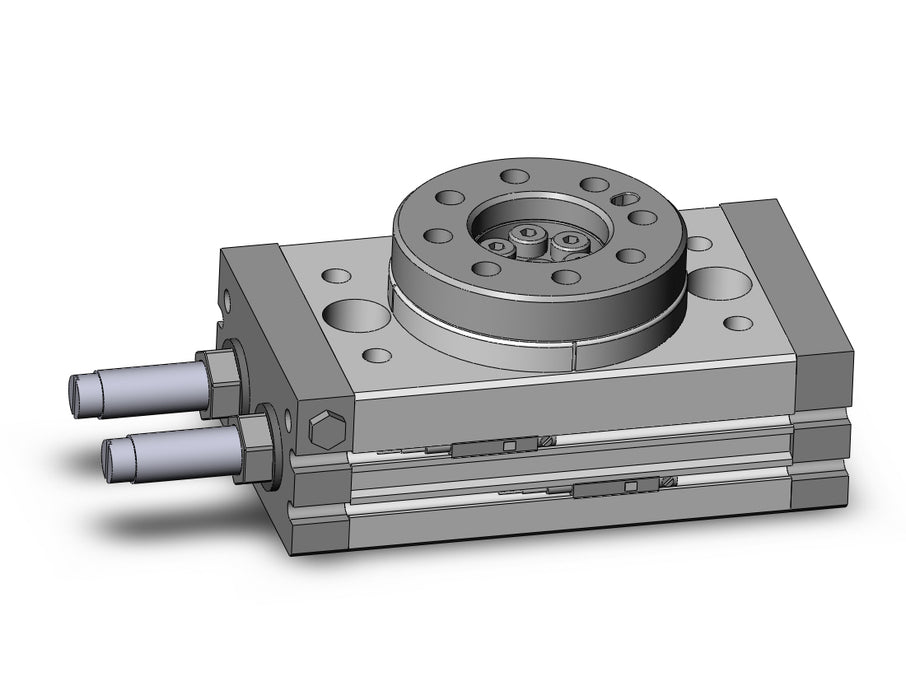 MSQB20R-A90 Rotary Table