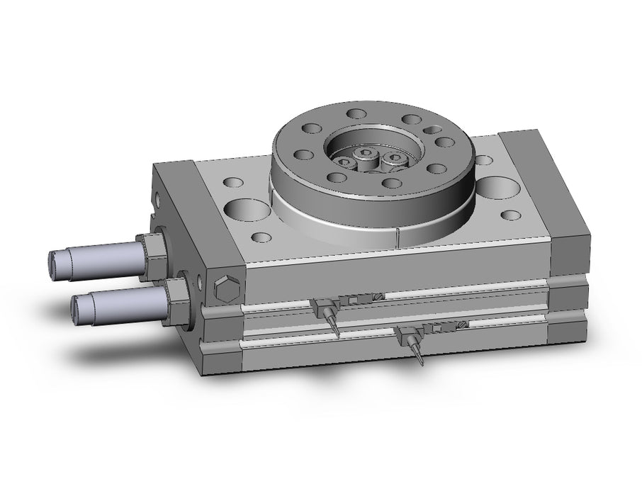 MSQB20R-A93VL Rotary Table