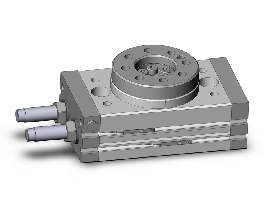 MSQB20R-M9BL Rotary Table