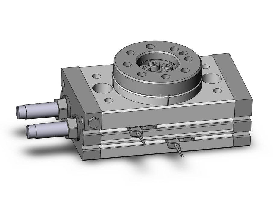 MSQB20R-M9BVL Rotary Table