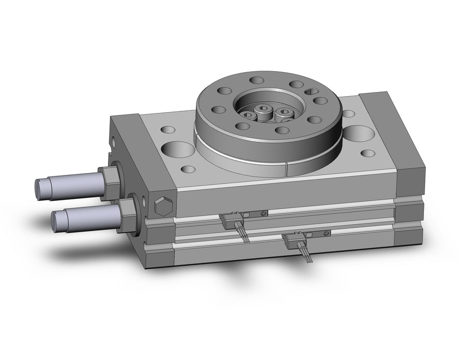MSQB20R-M9NV Rotary Table