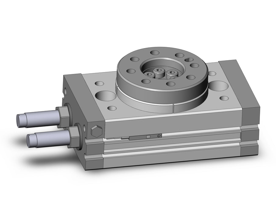 MSQB20R-M9PLS Rotary Table