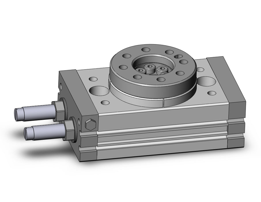 MSQB20R Rotary Table