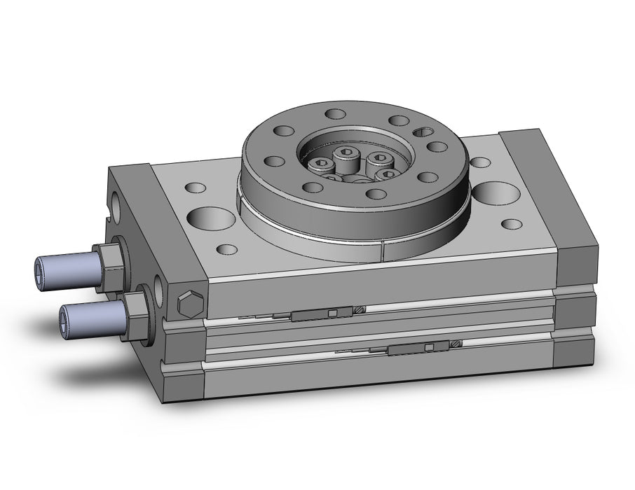MSQB30A-A93L Rotary Table